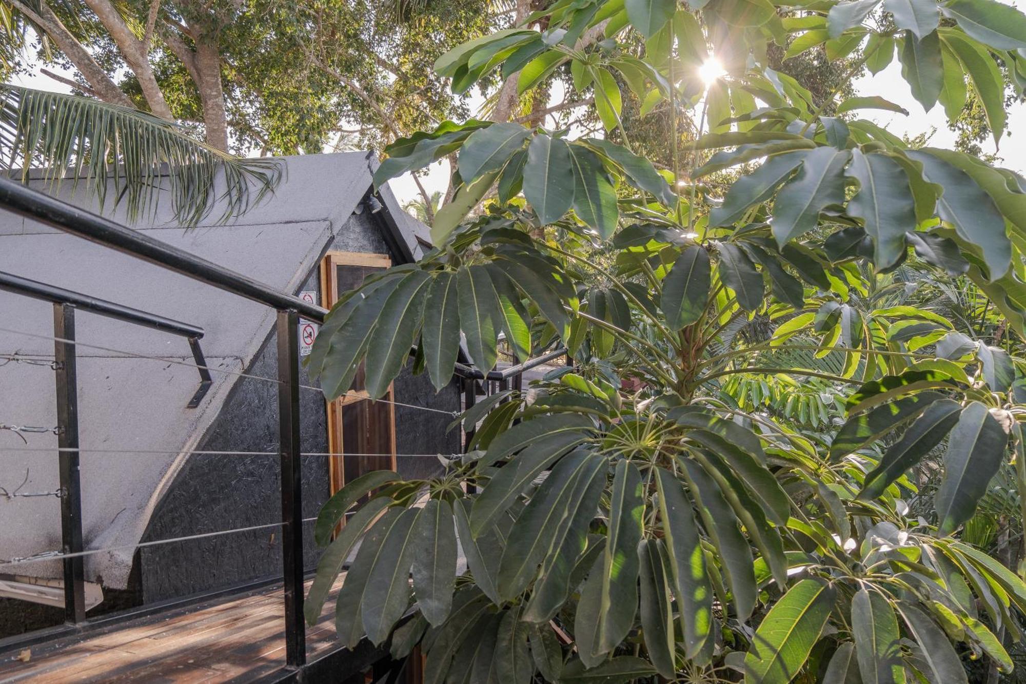 El Refugio De Sayulita - Health And Wellness House Hotell Exteriör bild